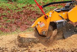 Best Pest Control for Lawns  in Summerfield, MD